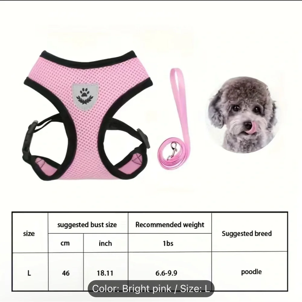 Pink Harness & Leash Set